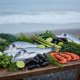 Why coastal markets produce naturally digestible and stable cuisine