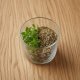 2 tablespoons fresh oregano or 1 teaspoon dry